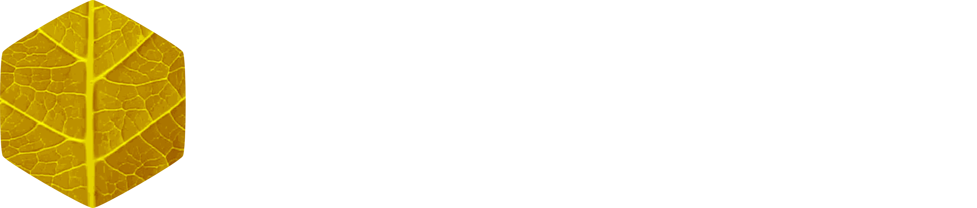 NAVPEX